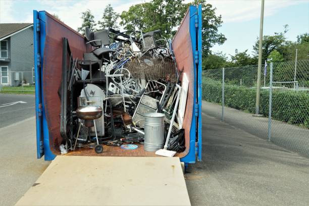 Yard Cleanup Services in Kingsland, GA